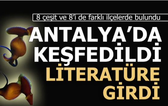 Antalya'da keşfedildiler, dünya literatürüne girdiler