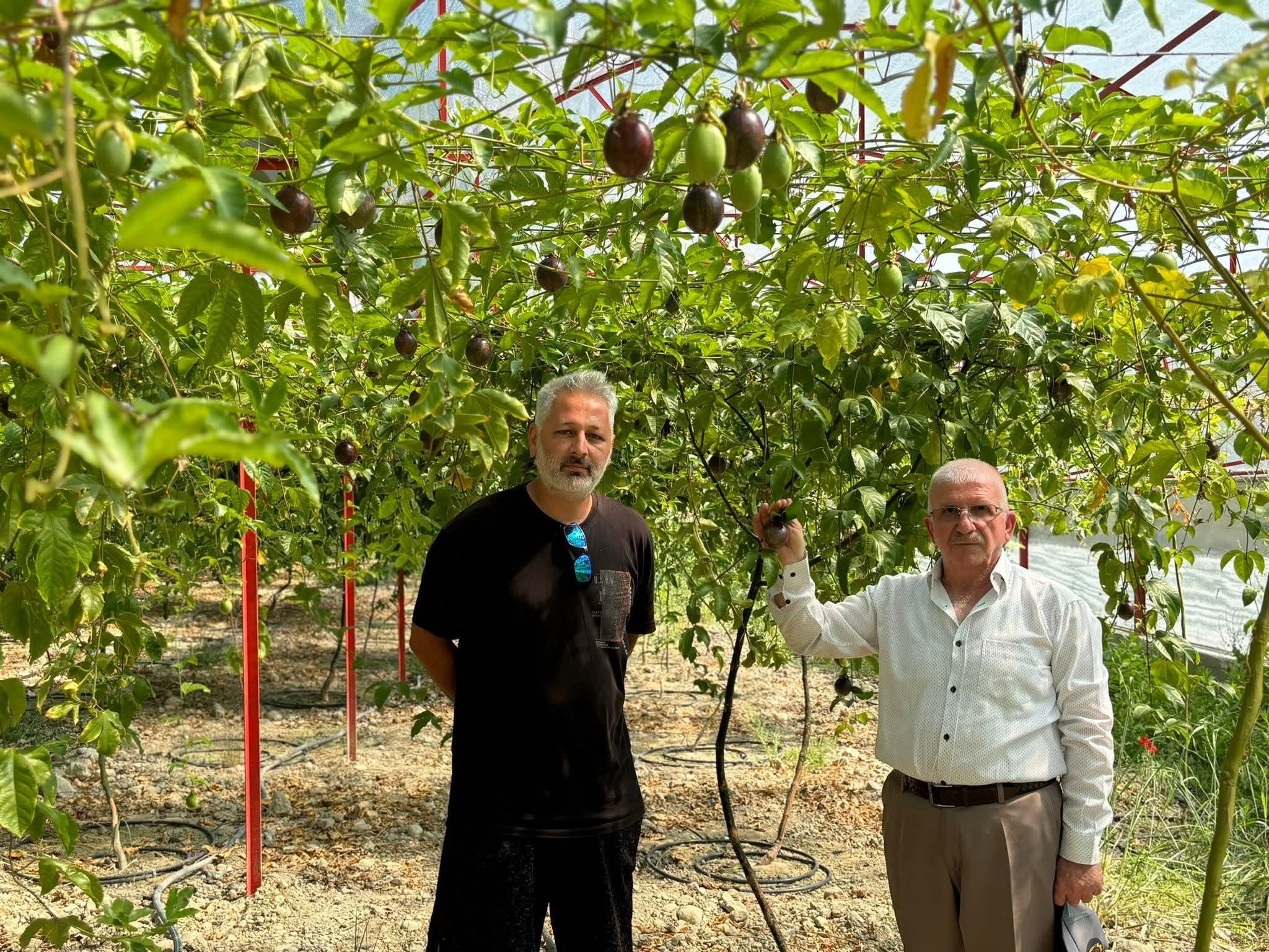 Ramazan Süer: Tarımsal üretim için elektrik sorunu çözülmeli