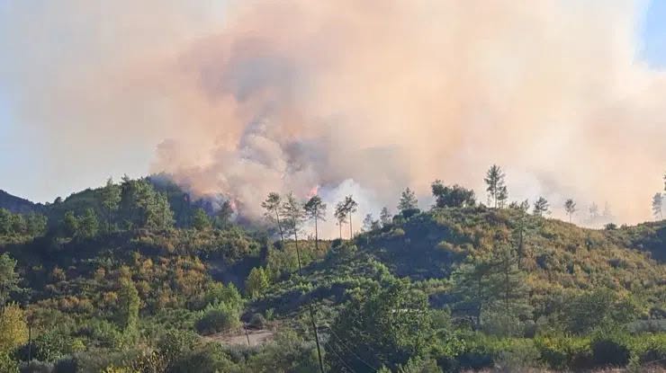 Kaş ilçelerinde toplam 10 hektarlık alanın zarar gördüğü orman yangınıyla ilgili yürütülen çalışmalar kapsamında şüpheliler, gözaltına alındı.